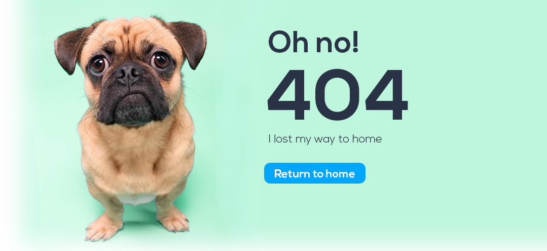 Page Not Found | Error 404